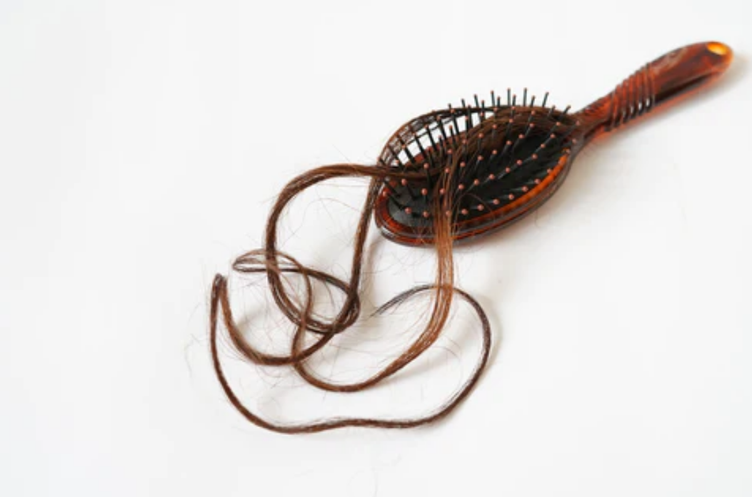 Strands of long brown hair seen on a hair brush. Concept of hair thinning, hair thinning causes, reasons for hair loss.